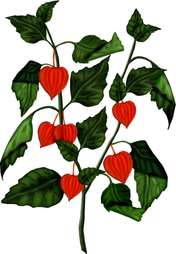 Artificial Flowers - Flower (346x500)