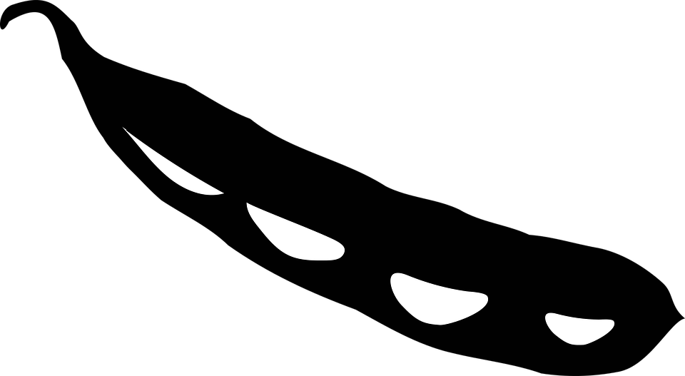 Soybean Png Black And White Transparent Vegetable - Soybean Clipart Black And White (960x527)