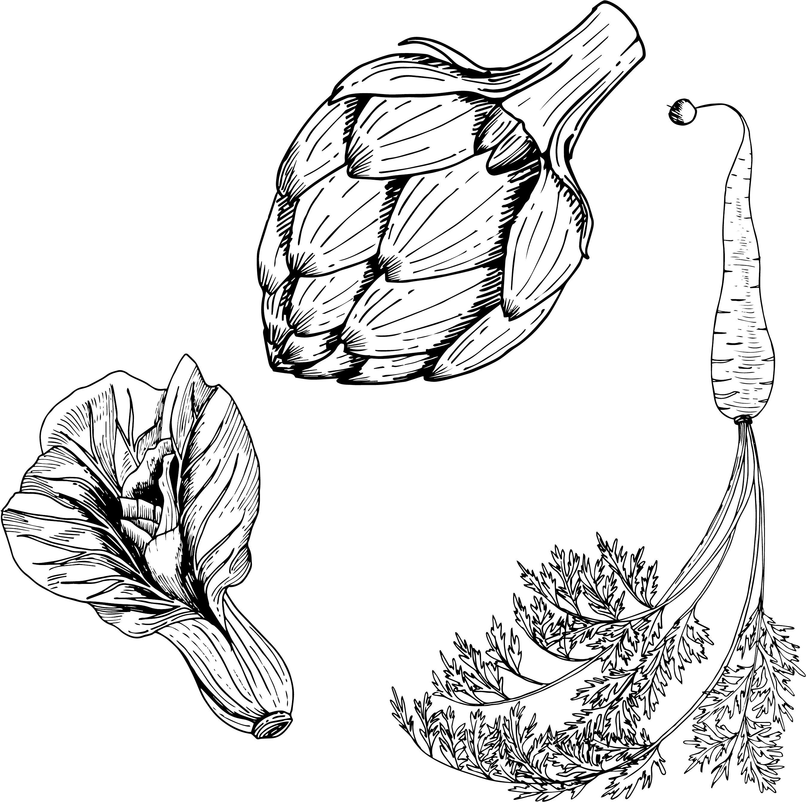 Carrot Vegetable Line Transprent Clip Art Black And - Food Planner: Meal Planner [book] (2917x2917)