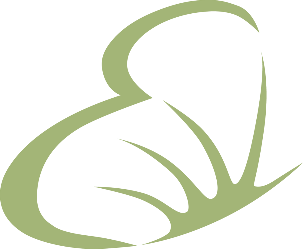 Lash Lifts Evolution Lash Studio & Spa - Lash Lifts Evolution Lash Studio & Spa (1000x821)