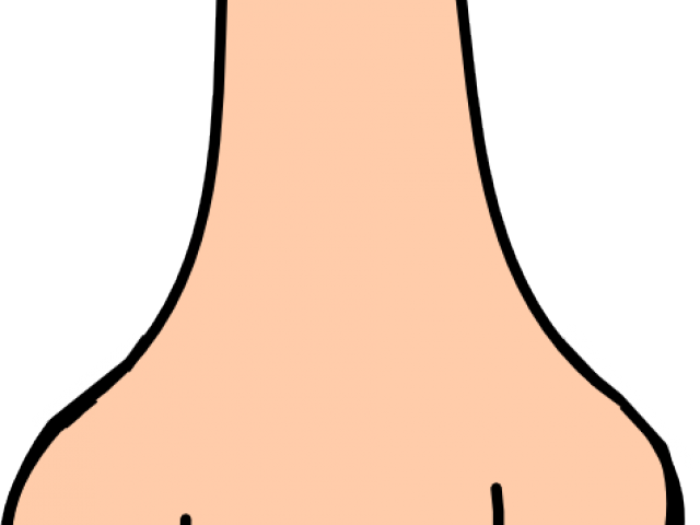 Nose Clipart Nose Smell - Clip Art (640x480)