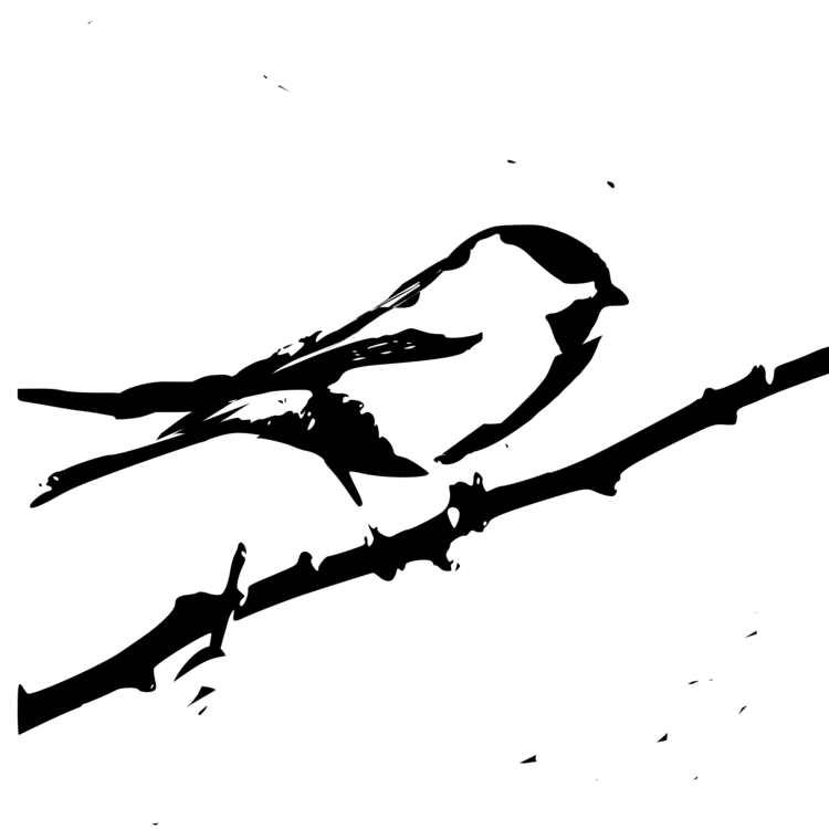 All Photo Png Clipart - Custom Chickadee Sketch Shower Curtain (750x750)