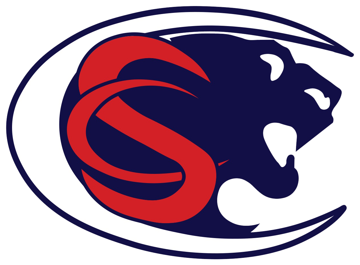 Высшая школа логотип. Логотип rs school. ци logo. спринг пантера. rs school logo.