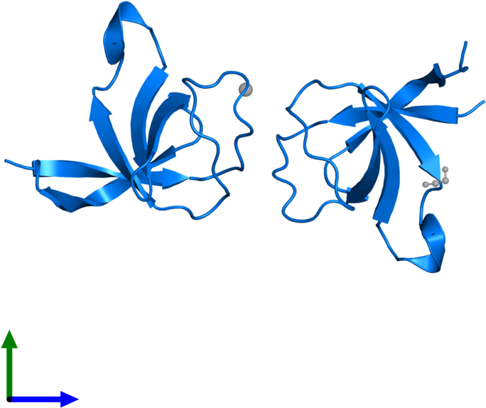 <div Class='caption-body'>pdb Entry 1wyx Contains 2 - Graphic Design (800x800)