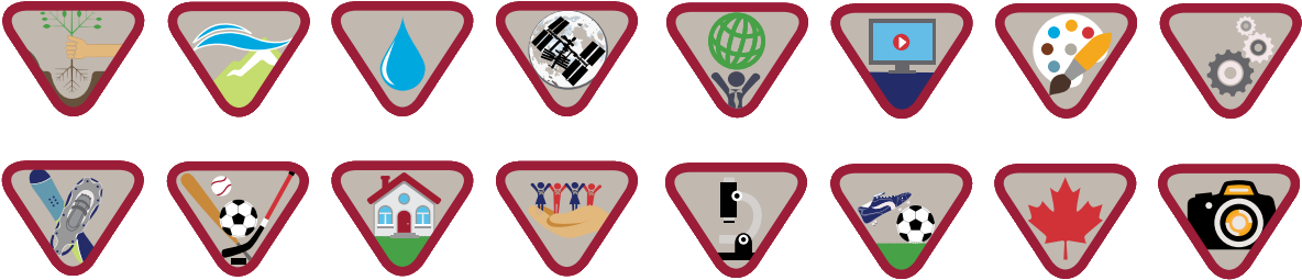 Every Time A Cub Scout Would Like To Work Towards A - Cubs Personal Achievement Badges (1216x277)