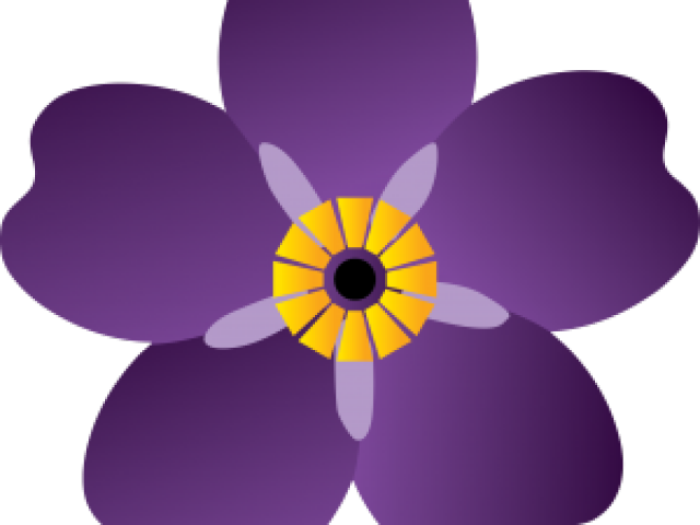 Forget Me Not Flower Purple (640x480)