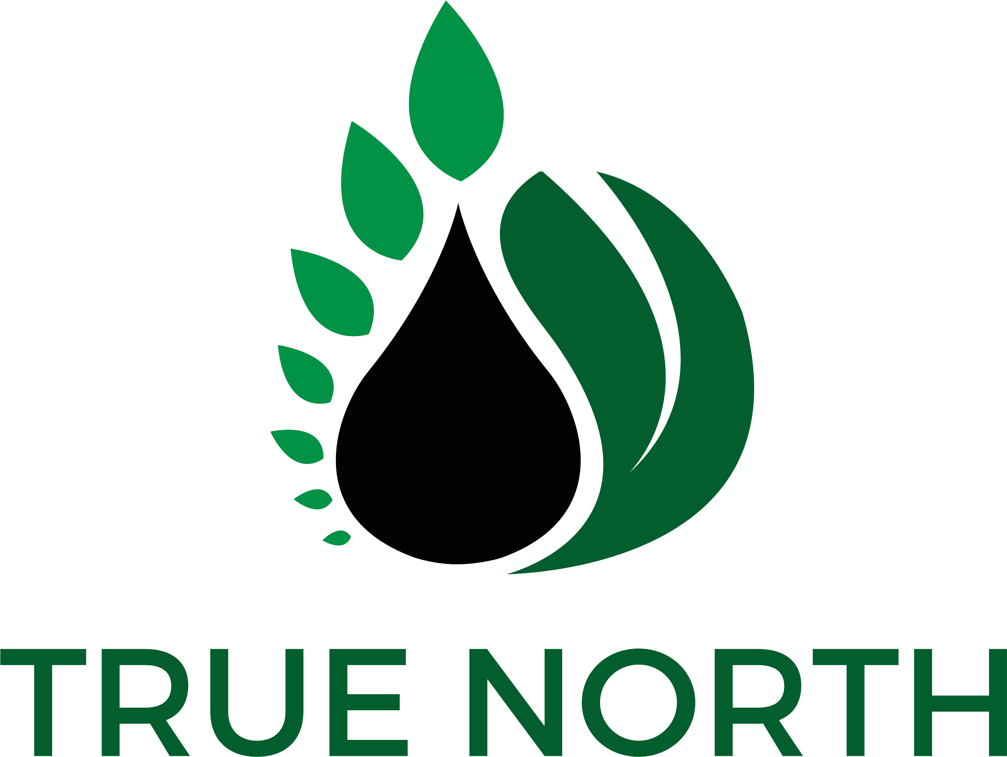 Research Foundation Cuny Logo (3706x2874)