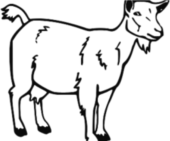 Mountain Goat Clipart Nubian Goat - Goat Black And White Drawing (640x480)