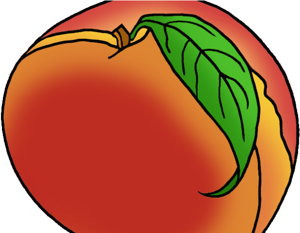 Peach Clipart Ga Peach - Georgia Peach Png (640x480)