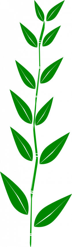 Green Leaf Border - Green Leaf Clipart (250x850)