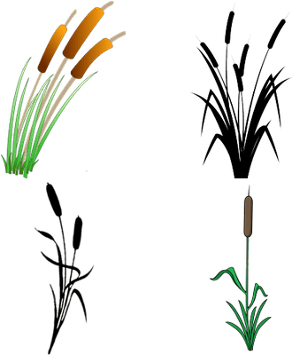 Reed - Famous Haiku Poems (400x400)