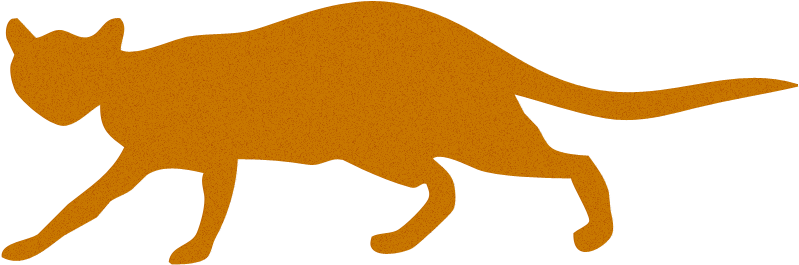 Feline - Animals Cat Dog Cow Elephant Lion (800x600)
