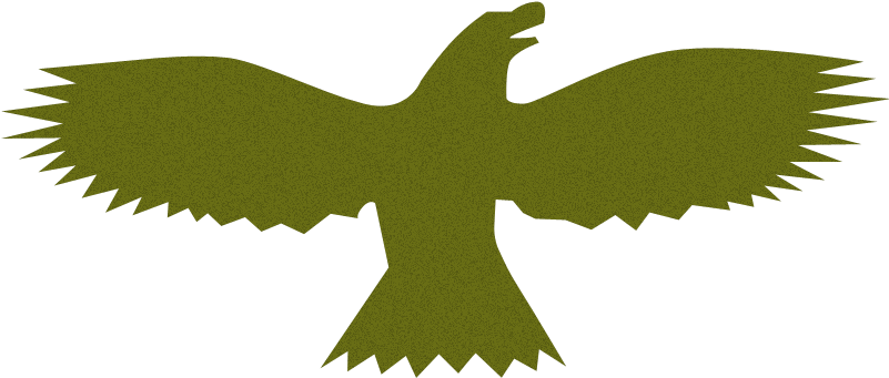 Birds - Download (800x600)