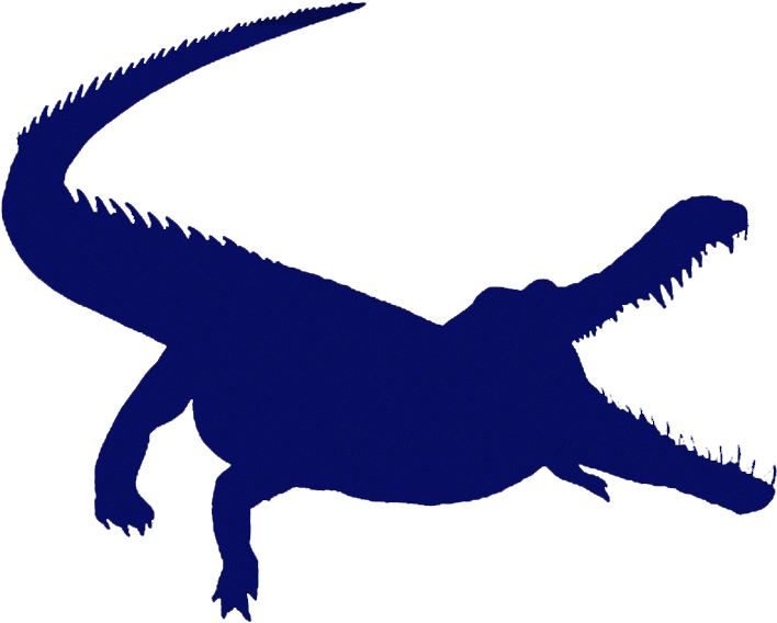 Reptiles - Crocodile Silhouette (800x600)