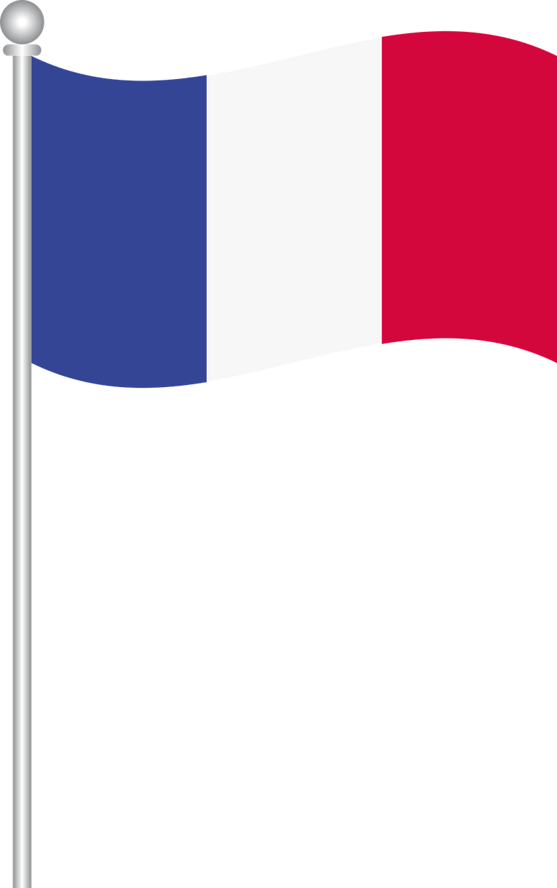 France, Flag Of France, World Flags - Bandera De Francia Png (804x1280)