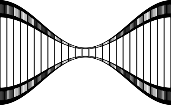 Photographic Film Filmstrip Cinema - Film Strip Images Png (550x340)