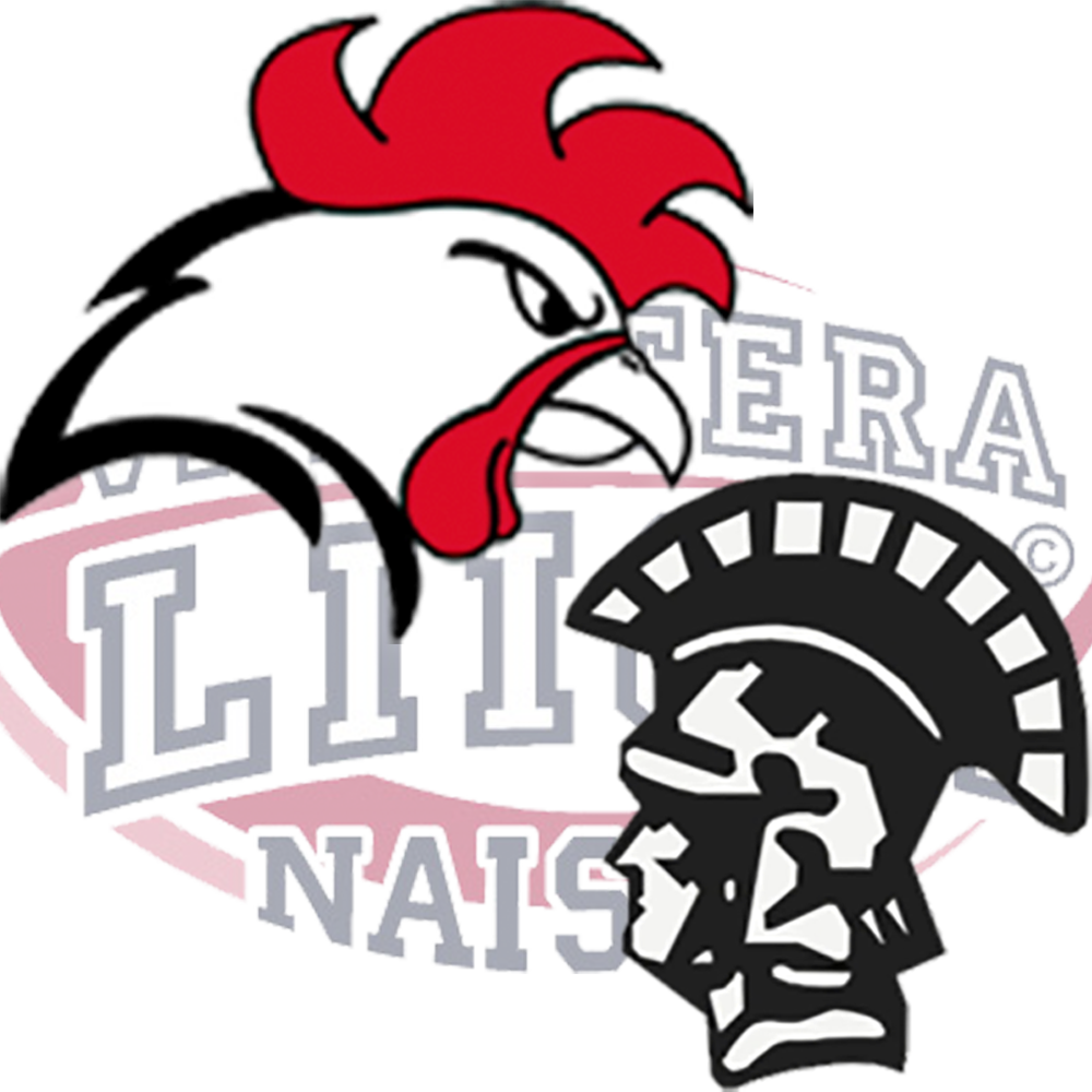 Helsinki Roosters Anders Trojans Turku 26 0 - Helsinki Roosters (1000x1000)