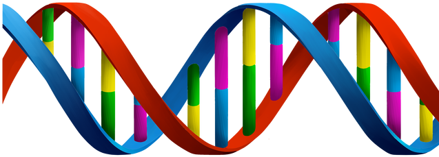 Png Black And White Stock Cousins Clipart Big Small - Nucleic Acid Clipart (656x300)