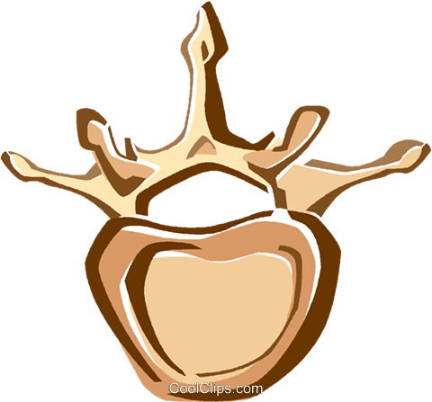 Human Bones Royalty Free Vector Clip Art Illustration - Human Bones Royalty Free Vector Clip Art Illustration (480x447)