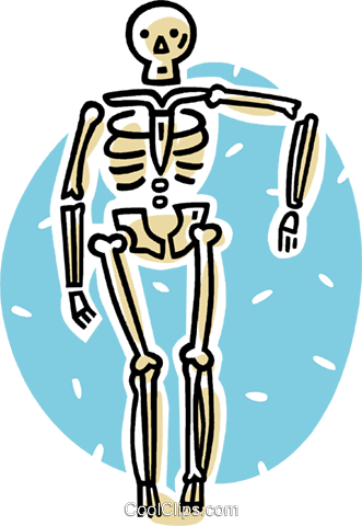 Skeleton Royalty Free Vector Clip Art Illustration - Illustration (331x480)