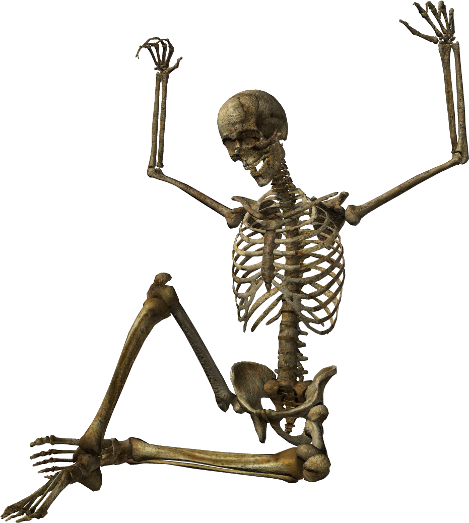 Vector Skeleton Full Graphic Royalty Free Stock - Free Skeleton (1090x1090)