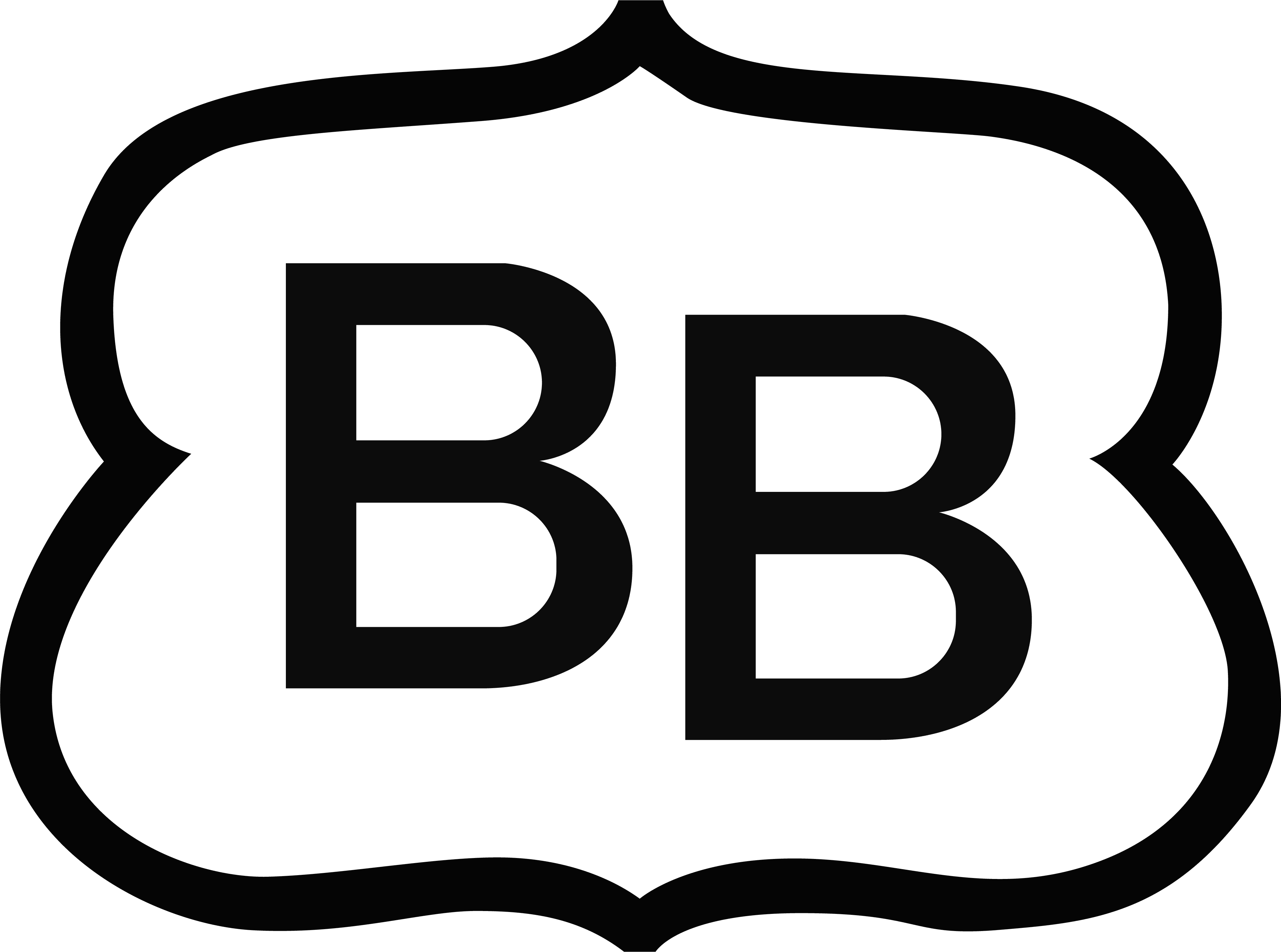 Brooklyn Bedding Bowery Mattress - Brooklyn Bedding Logo (4033x2998)