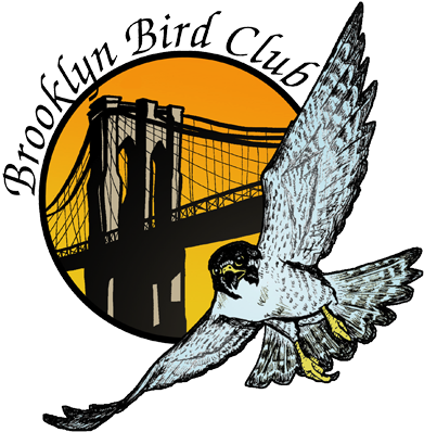 Brooklyn Bird Club - Brooklyn Bird Club Rectangle Magnet (400x400)