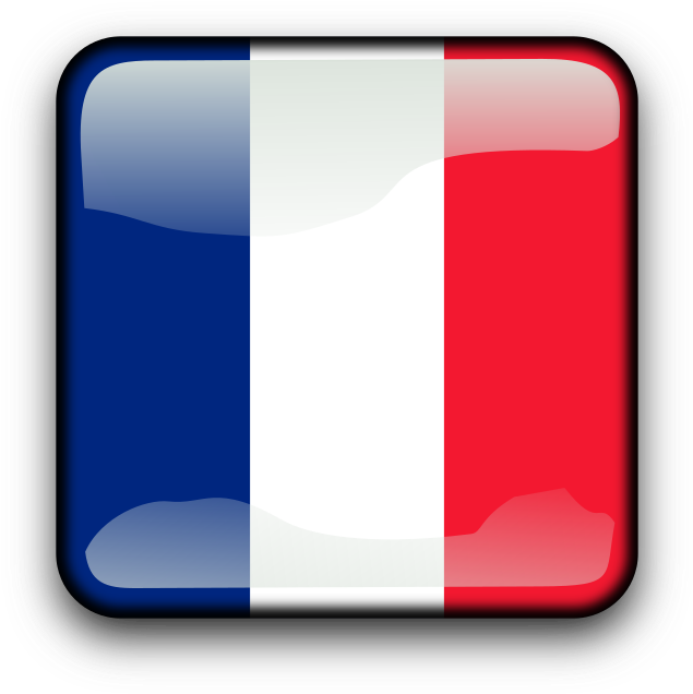 Flag Of France National Flag Flag Of The United States - Bandera De Francia Icono (800x800)