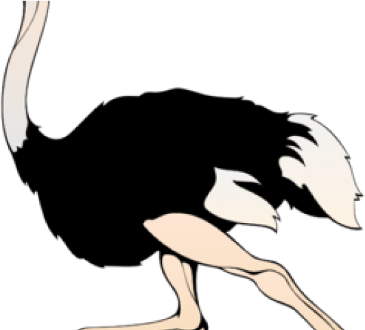 Animl Clipart Run - Ostrich Clipart Png (640x480)