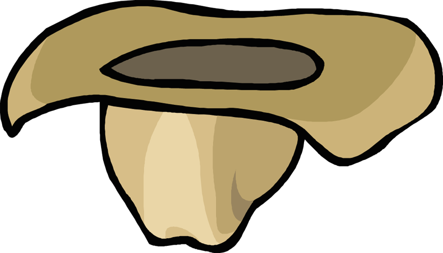 Howdy - Howdy (867x495)