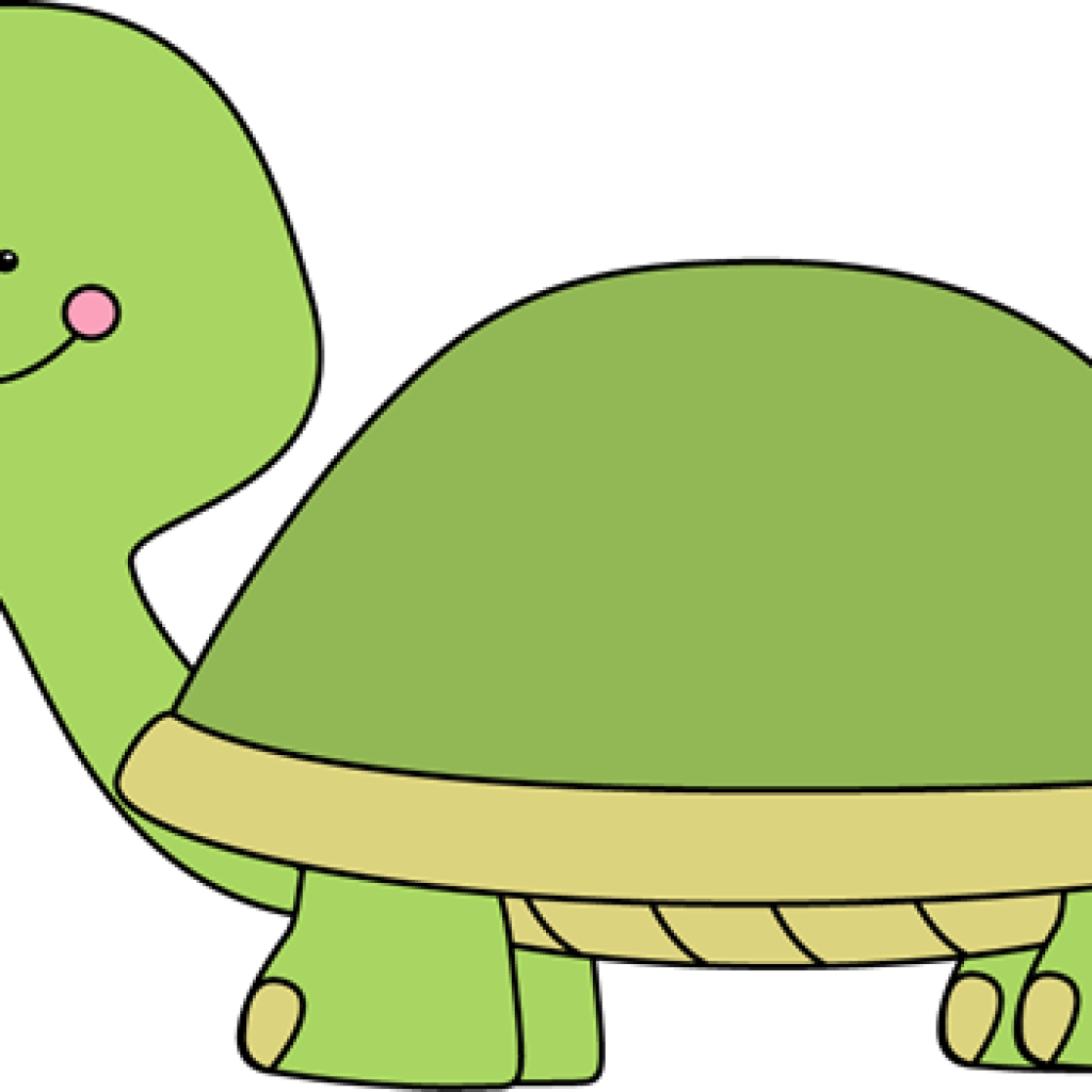 Cute Turtle Clip Art Turtle Clip Art Turtle Images - Turtle (1024x1024)