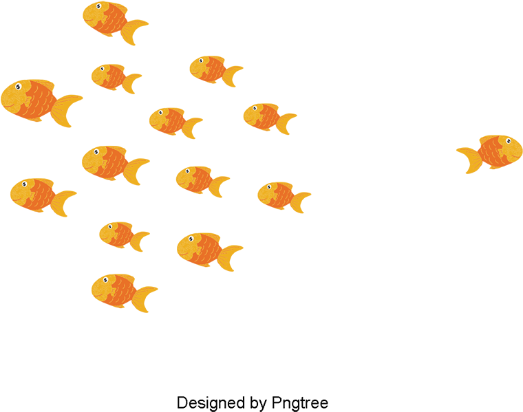 Gold Fish, Fish Clipart, Pet, Shoal Of Fish Png And - Fish (800x800)