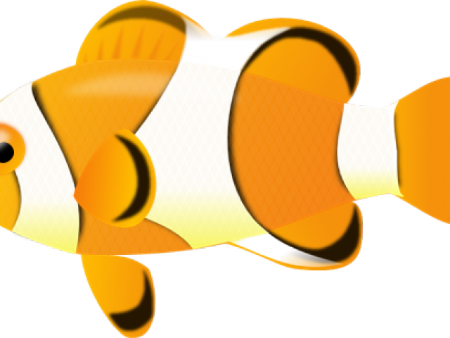 Tropical Fish Clipart 3d Fish - Transparent Background Small Fish (640x480)