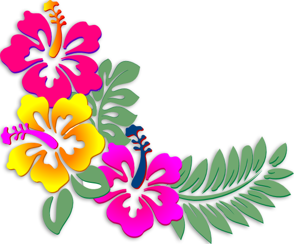 Hibiscus Clipart Coral - Corner Border Design Flower (600x499)