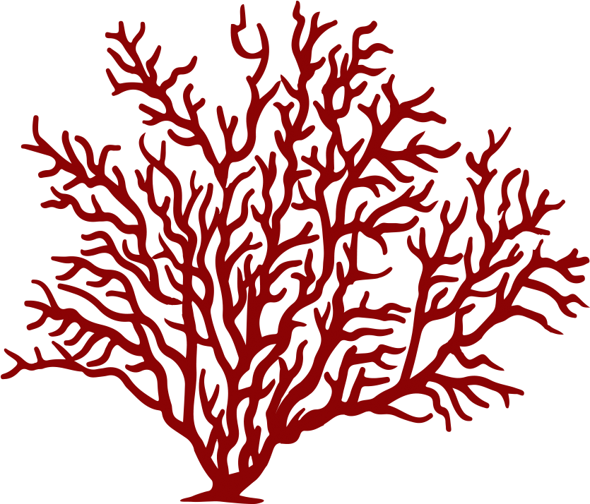 Coral Clipart Soft Coral - Coral Clipart Soft Coral (1000x842)