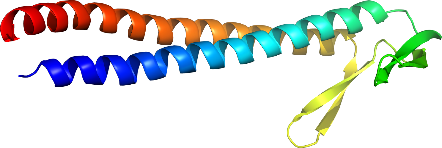 Vector Black And White Jewellery Line Art Transprent - Vector Black And White Jewellery Line Art Transprent (1487x500)