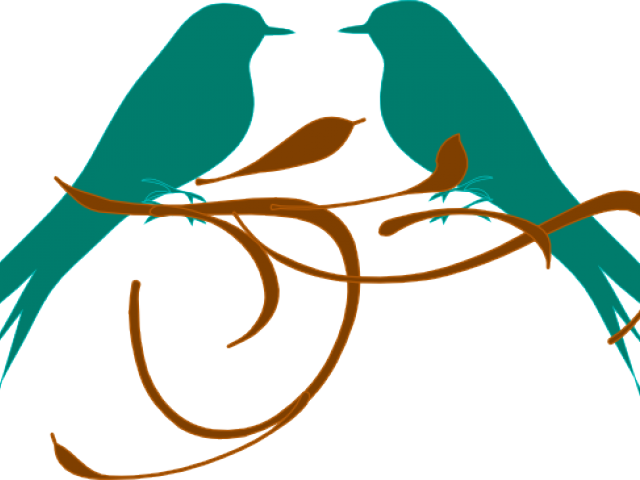 Lovebird Clipart Easy Bird - Love Birds Clipart (640x480)