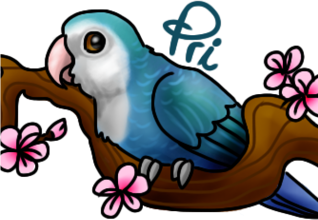 Lovebird Clipart Sweet Bird - Lovebird Clipart Sweet Bird (640x480)
