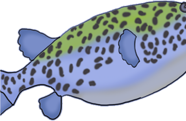 Spotty Fishes Clipart (640x480)