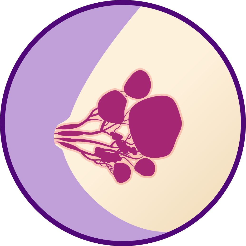Clipart Royalty Free Violet Iodine Fibrocystic - Circle (1034x1033)