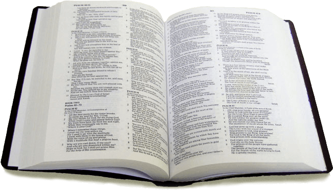 Scripture Clipart Transparent Background - Png Bible (691x384)