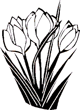 Cut Flowers (358x358)