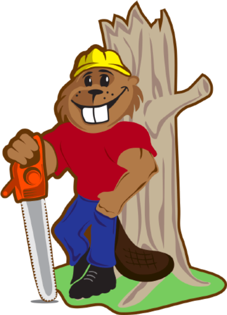 Beaver Tree Mascot Leaning On Tree - Oregon (741x1125)