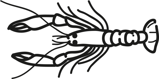 Project Description - Norway Lobster (796x500)