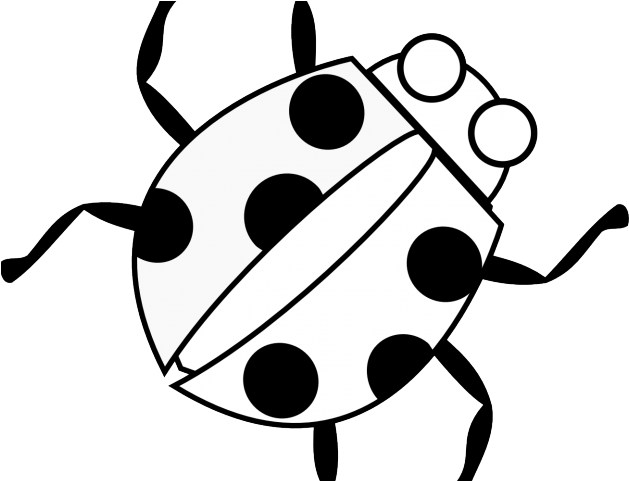 Squid Clipart Easy - Bug Cartoon Black And White (640x480)