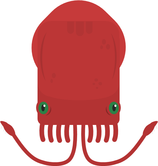 Animalcolossal Squid - Illustration (543x570)