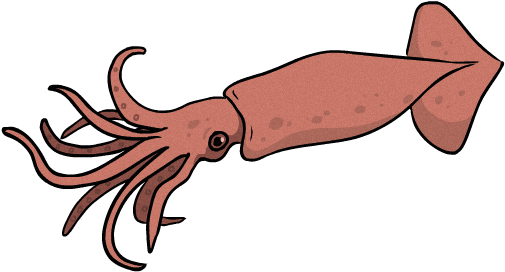 오징어 - ' - Giant Squid (720x280)