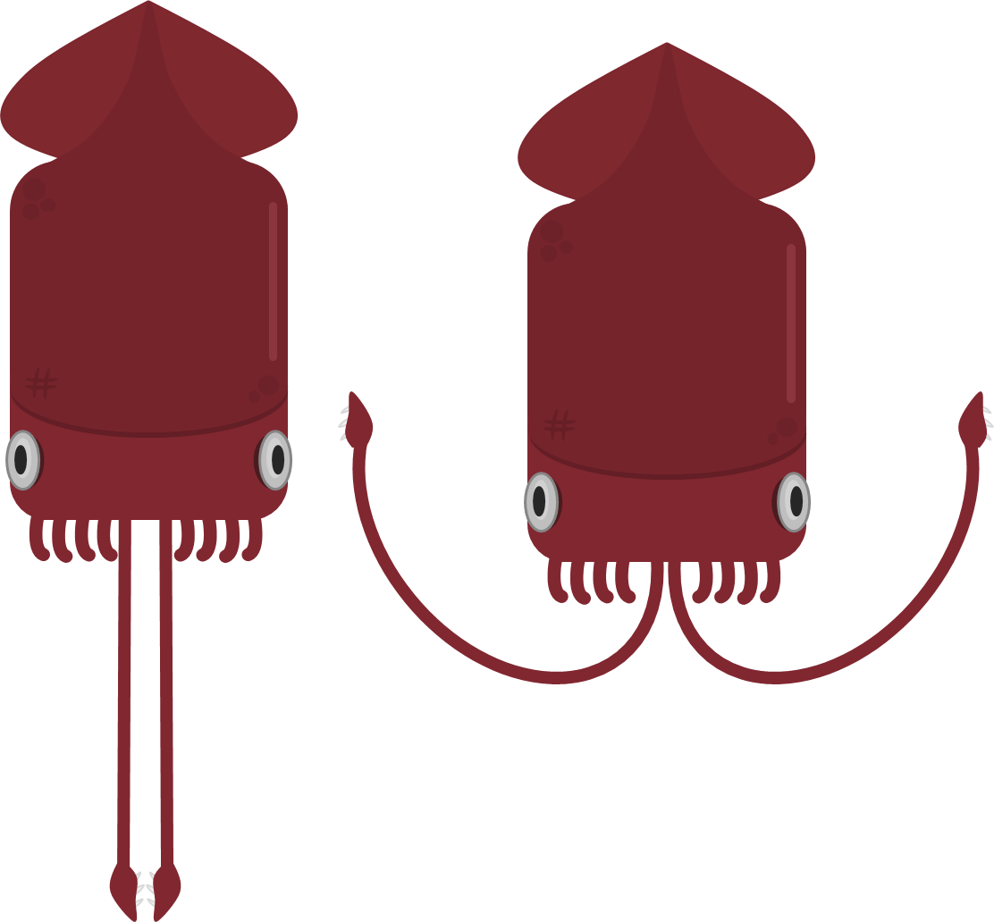 Animalcolossal Squid - Animalcolossal Squid (1112x1032)