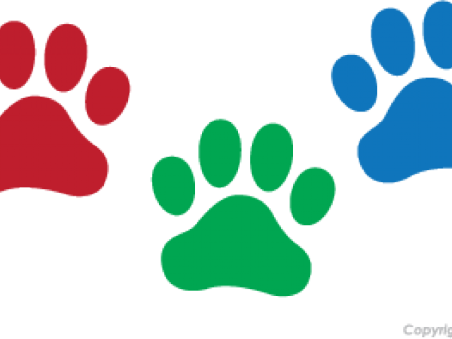 Leopard Clipart Paw Print - Leopard Clipart Paw Print (640x480)
