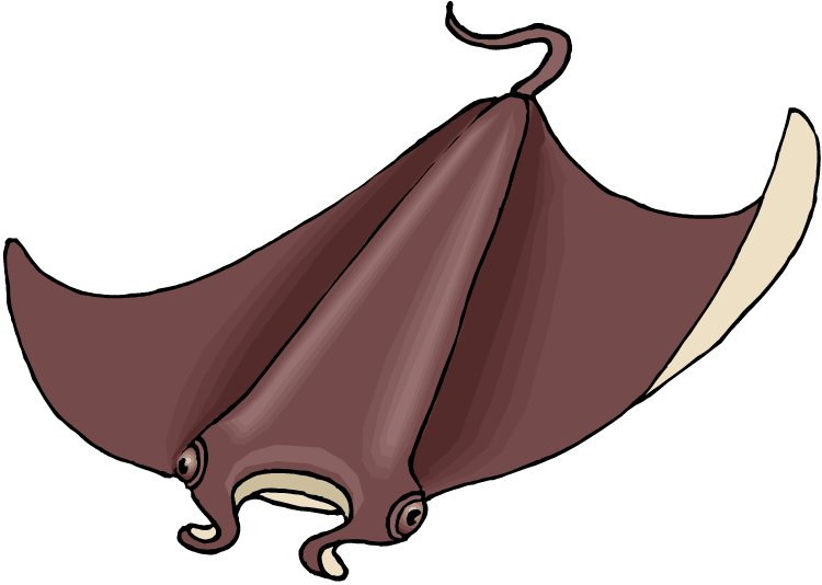 Stingray Clipart - Sting Ray Clipart Png (750x534)